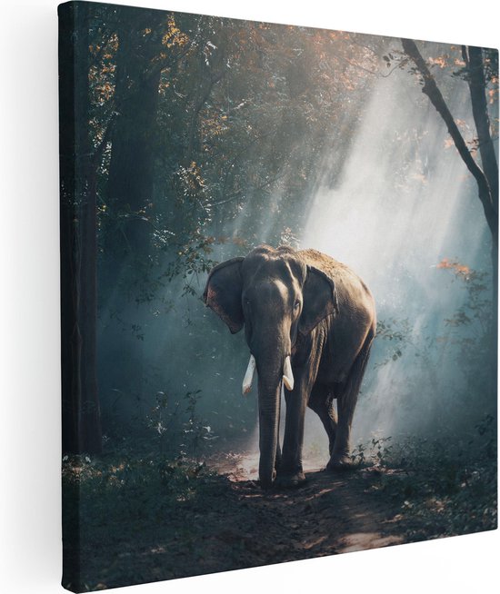 Artaza Peinture Sur Toile Éléphant Dans La Forêt Avec Soleil - 30x30 - Klein - Tableau Sur Toile - Impression Sur Toile
