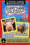 Everything You Should Know About