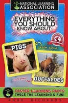 Everything You Should Know About