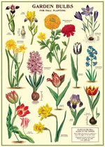 Poster Bloemen - Cavallini & Co - Schoolplaat Garden Bulbs