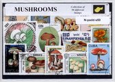 Paddestoelen – Luxe postzegel pakket (A6 formaat) : collectie van 50 verschillende postzegels van paddestoelen – kan als ansichtkaart in een A6 envelop - authentiek cadeau - kado -