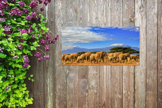 Poster de jardin Eléphant - Berg - Tanzanie - 80x40 cm - Décoration murale Outdoor - Poster de jardin - Toile de jardin - Poster de clôture - Tableau de jardin
