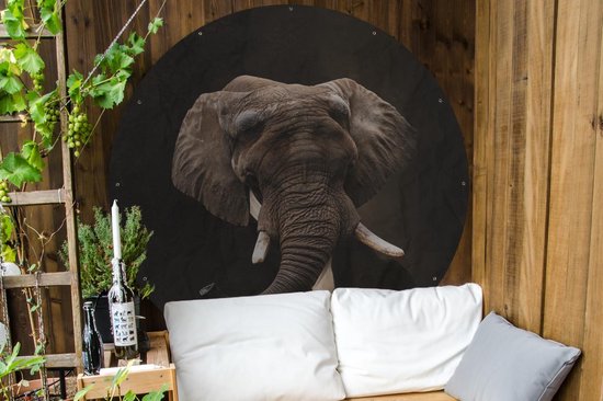 Garden Circle Portrait - Éléphant - Art - 150x150 cm - Affiche Ronde de Jardin - Extérieur
