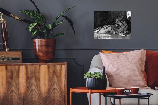 Affiche Panthère - Zwart - Wit - 40x30 cm