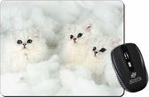 3 Witte chinchilla Kittens op Wolk  Muismat
