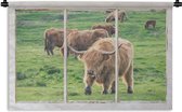 Wandkleed - Wanddoek - Doorkijk - Schotse hooglander - Dieren - 180x120 cm - Wandtapijt