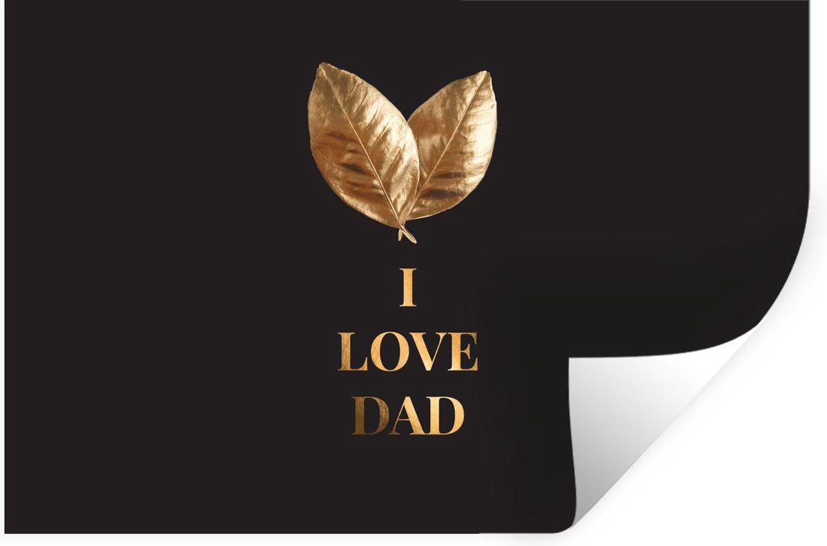 Muurstickers - Sticker Folie - Vaderdag - I love dad - Spreuken - Quotes - Papa - 30x20 cm - Plakfolie - Muurstickers Kinderkamer - Zelfklevend Behang - Vaderdag cadeautje - Cadeau voor vader en papa - Zelfklevend behangpapier - Stickerfolie