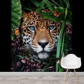 Jungle Leopard behang