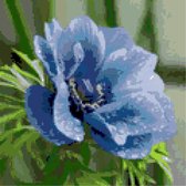 Leeuweriks Diamond Painting | Blauwe bloem | 30x30 | Vierkante steentjes | Gemaakt in Nederland | Snelle levering