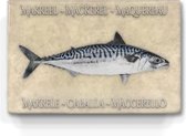 makreel op soft beige achtergrond  - niet van echt te onderscheiden schilderijtje op hout - makreel in 6 talen -  Laqueprint