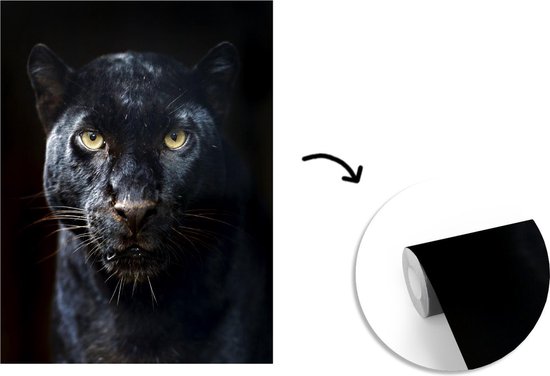 Behang - Fotobehang Panter - Zwart - Geel - Breedte 225 cm x hoogte 280 cm