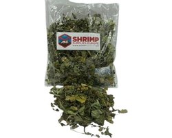 Moringa bladeren - Aquarium - Garnalen voer - Aquarium decoratie