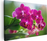 Artaza Canvas Schilderij Roze Orchidee Bloemen - 90x60 - Foto Op Canvas - Canvas Print - Muurdecoratie
