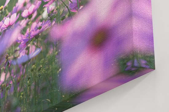 Artaza Toile Peinture Champ De Fleurs Avec Kosmos Pourpre - 30x30 - Klein - Photo Sur Toile - Impression Sur Toile