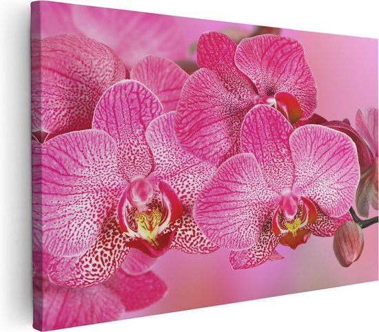 Artaza Canvas Schilderij Roze Orchidee Bloemen - 30x20 - Klein - Foto Op Canvas - Canvas Print