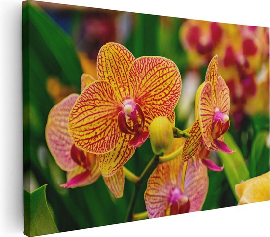 Artaza Canvas Schilderij Geel Rode Orchidee Bloemen - 90x60 - Foto Op Canvas - Canvas Print - Muurdecoratie