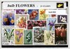 Afbeelding van het spelletje Bolgewassen - Typisch Nederlands postzegel pakket & souvenir. Collectie van 25 verschillende postzegels van bolgewassen – kan als ansichtkaart in een A6 envelop - authentiek cadeau - kado - kaart - tulpen - narcis - krokus - hyacint - amaryllis