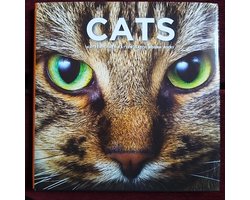 Cat Coffee Table Book