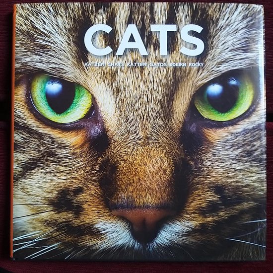 9780956264237 - Cat Coffee Table Book