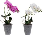 Decoratieve Bloem DKD Home Decor Schuim Stof Ijzer Keramiek (2 pcs)