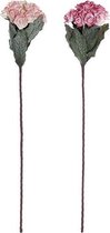 Decoratieve Bloem DKD Home Decor EVA (Ethyleenvinylacetaat) (2 pcs)