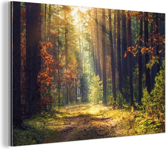 Wanddecoratie Metaal - Aluminium Schilderij Industrieel - Bos - Herst - Bomen - 150x100 cm - Dibond - Foto op aluminium - Industriële muurdecoratie - Voor de woonkamer/slaapkamer