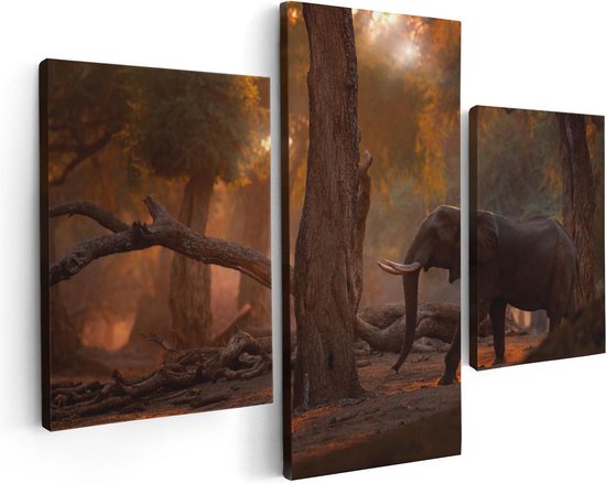 Artaza Canvas Schilderij Drieluik Olifant In het Bos - 90x60 - Foto Op Canvas - Canvas Print