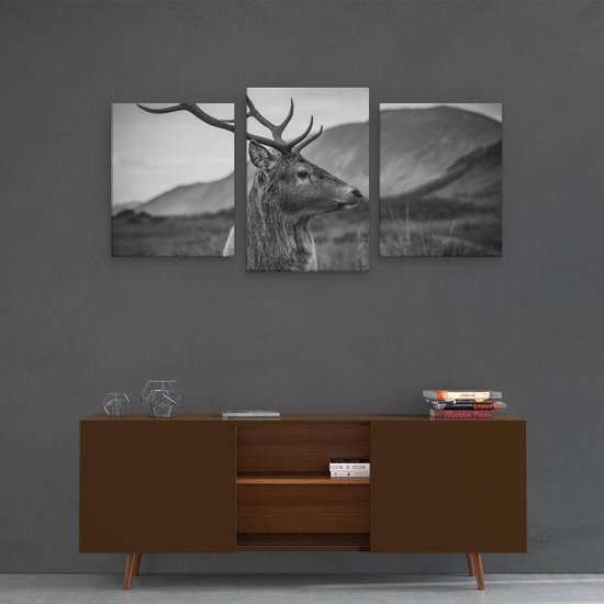 Artaza - Triptyque de peinture sur toile - Tête de cerf - Cerf - Zwart Wit - 120x60 - Photo sur toile - Impression sur toile