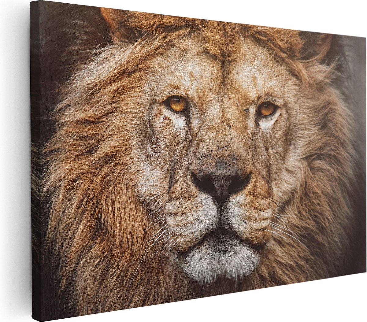 Artaza Canvas Schilderij Leeuw - Leeuwenkop - Kleur - 30x20 - Klein - Foto Op Canvas - Canvas Print