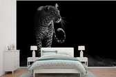 Behang - Fotobehang Luipaard - Zwart - Wit - Breedte 420 cm x hoogte 280 cm