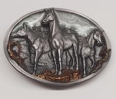 Buckle - Gesp - Paarden