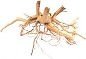 Aquariumhout - Spiderwood - Small - 20 tot 30 cm