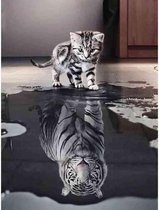 Diamond painting - Kitten ziet tijger in spiegelbeeld - Geproduceerd in Nederland - 40 x 60 cm - canvas materiaal - vierkante steentjes - Binnen 2-3 werkdagen in huis