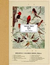 Vintage Prints: Birds