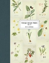 Vintage Botany Prints