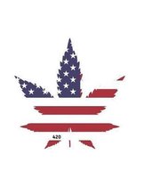 Cornell Notes: Marijuana Leaf with American Flag Cornell Notebook for High School and University Students