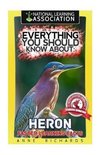 Everything You Should Know About