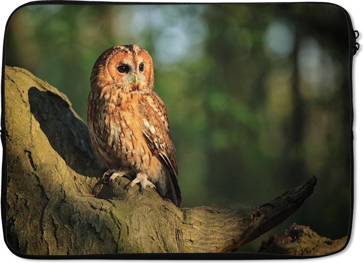 Laptophoes 13 inch Zonnestralen op een bruine bosuil Laptop sleeve