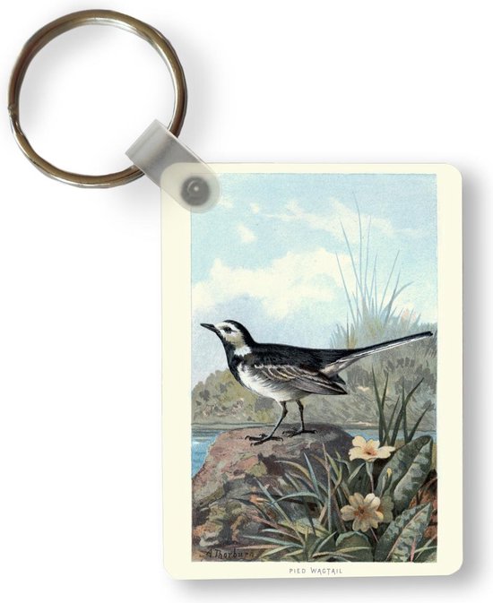 Sleutelhanger - Antieke vogelprent witte kwikstaart - Uitdeelcadeautjes - Plastic