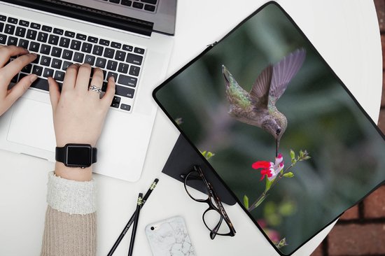 Housse ordinateur 13 pouces 34x24 cm - Colibri Calliope - Housse Macbook & Laptop Un colibri calliope vole près d'une fleur - Housse ordinateur portable avec photo