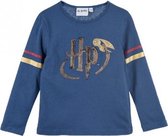 Blauw shirt - longsleeve van Harry Potter maat 116