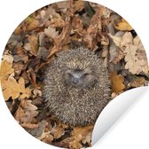 Papier peint cercle - Hérisson - Automne - Forêt - ⌀ 120 cm - Mur cercle - Autocollant - Papier peint autocollant XXL