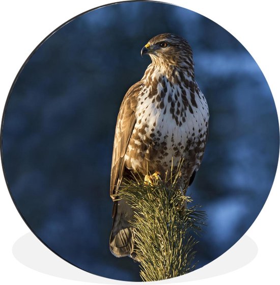 WallCircle - Cercle mural - Cercle mural - Buse - Branche - Blauw - Aluminium - Dibond - 120x120 cm - Intérieur et Extérieur XXL