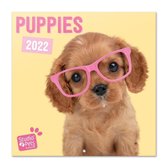 Honden  kalender 2022 - Puppies - schattig - cute - formaat 30 x 30 cm