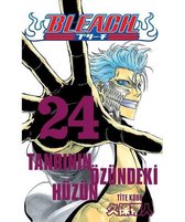Bleach 24.Cilt Tanrının Özündeki Hüzün