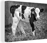 Canvas schilderij 160x120 cm - Wanddecoratie Een schattige Friese koe in het warme stro - zwart wit - Muurdecoratie woonkamer - Slaapkamer decoratie - Kamer accessoires - Schilderijen