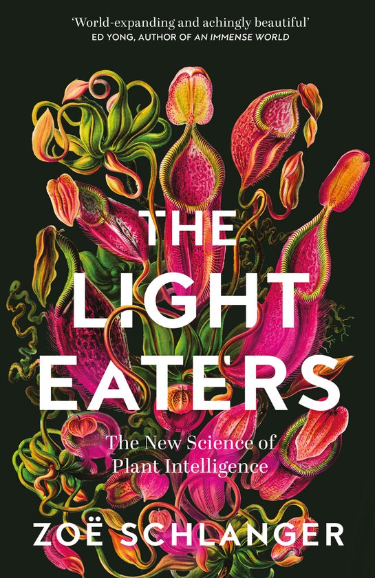 The Light Eaters - cover