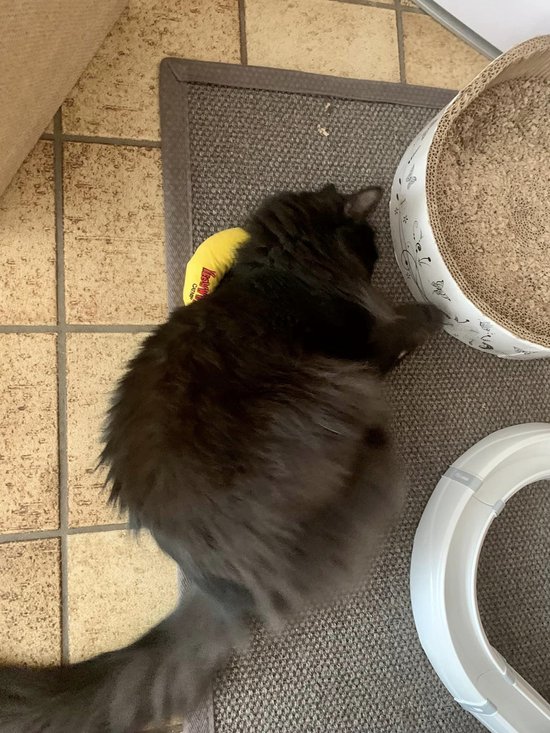 Yeowww! Banaan Kicker - Catnip Kattenkruid Speeltje voor Katten - Geel - 18 cm
