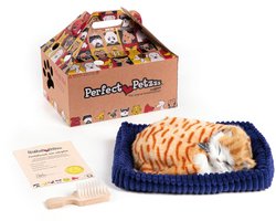 Omslag van Perfect Petzzz Orange Tabby Kat - Slapende knuffel met geluid en beweging