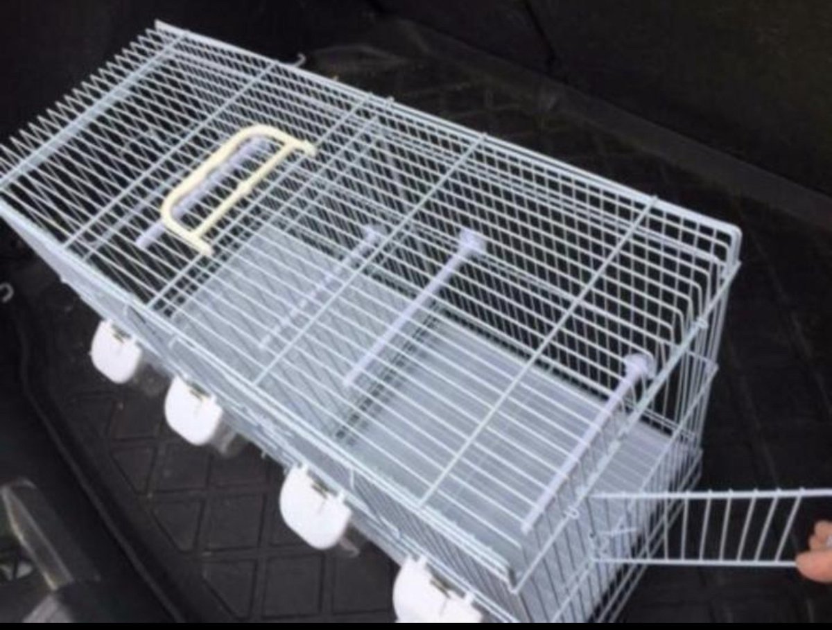 Birdtrade - kweekkooien - Broedkooien - Vogelkooi - twee vakken type 4500 thumbnail 3
